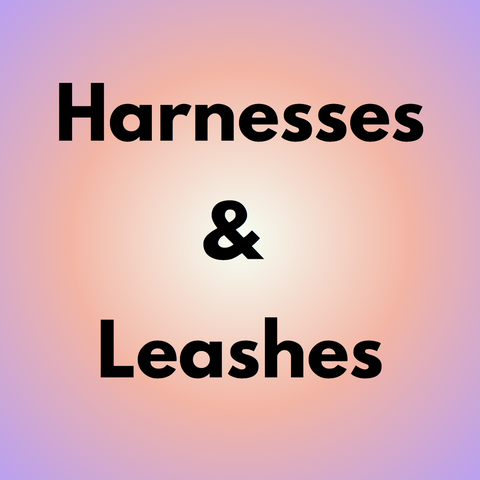 Harnesses & Leashes