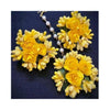 Flower Earrings, Stylish & Yellow And Pink Color, for Women