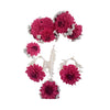 Bridal Floral Jewelry, Hand Gajray, Earrings, Tika & Ring, for Women