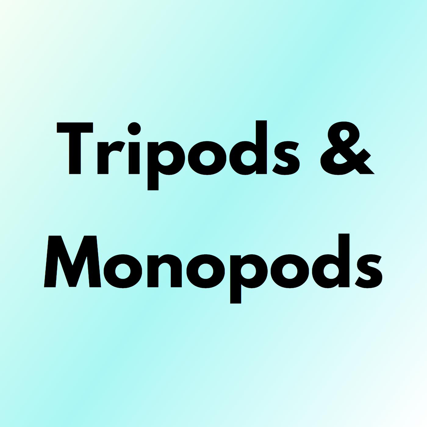 Tripods & Monopods