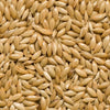 Canary Seeds Organic Bird Food, 100% Natural Whole Grain, for Pet Birds