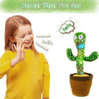 Dancing Cactus Toy – Singing, Talking, Voice Recording