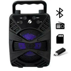 GTS-2422 Portable Bluetooth Speaker