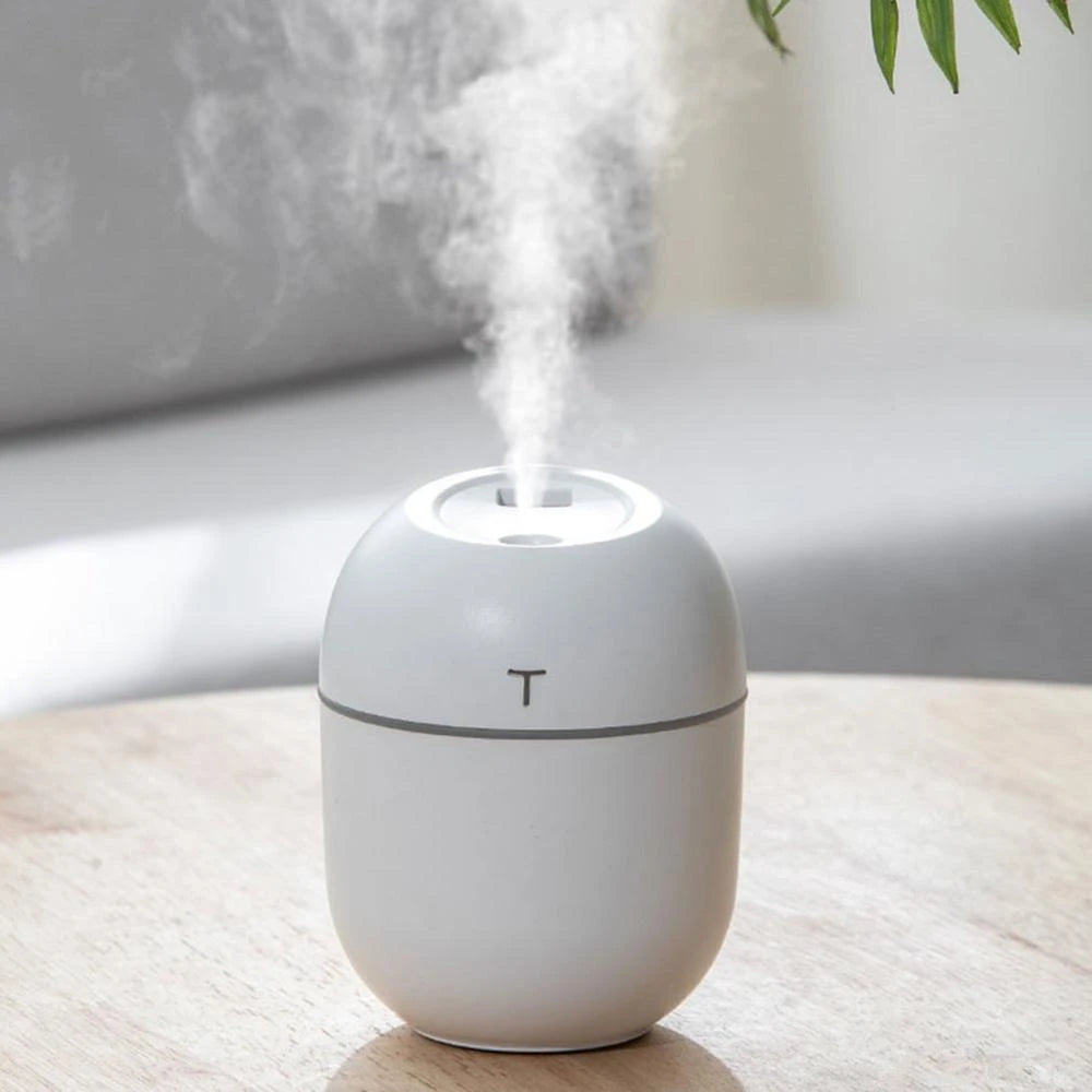 Air Humidifier, Mini USB Cool Mist Air Moisturizer for Bedroom and Desk