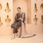 Semi-Stitched Net Dress