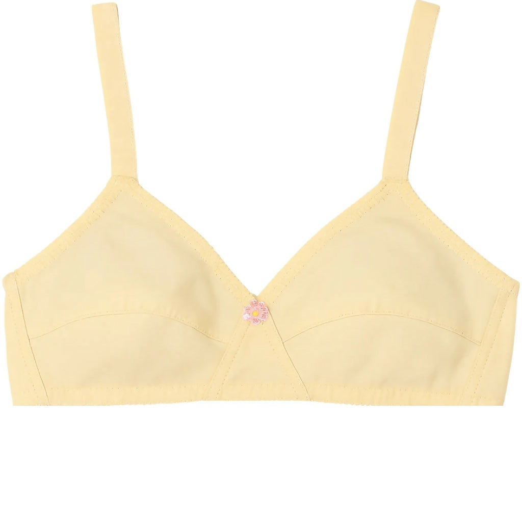 Cotton Sada Bra Pack of 3, Non-Padded Non-Wired, for Daily Wear