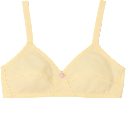 Cotton Sada Bra Pack of 3, Non-Padded Non-Wired, for Daily Wear