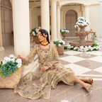 Semi Stitched Ensemble