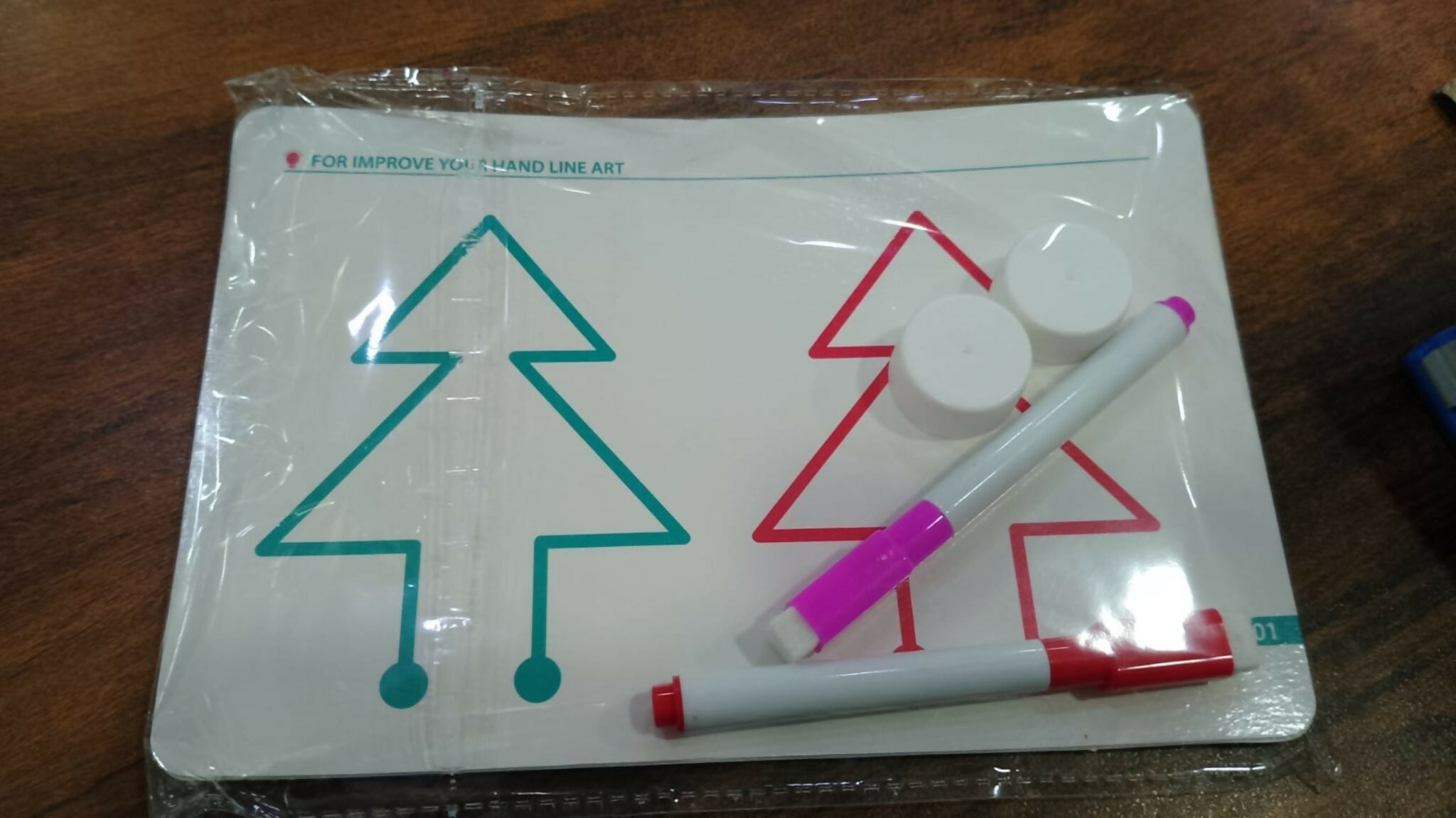 2-in-1 Brain Development Training Kit