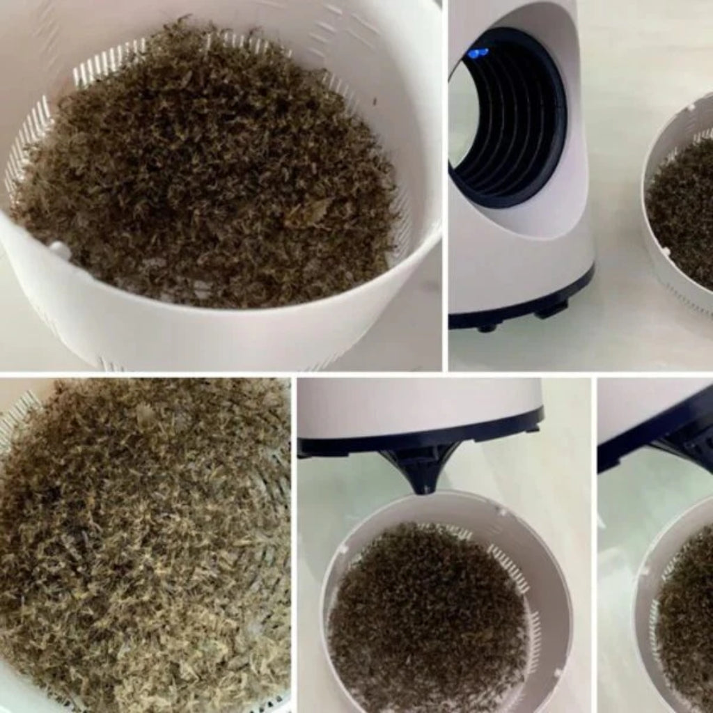 Mosquito Killer Lamp, Electric Shocker, USB Powered, Safe for Kids & Pets