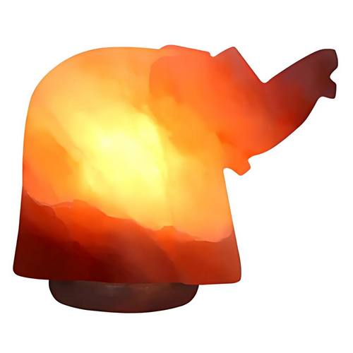 Himalayan Salt Dumbo Lamp