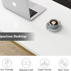 Lavey Gold Home Office Writing Organizer Desk Table