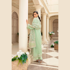 3-Piece Net Ensemble