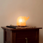 Himalayan Salt Dumbo Lamp
