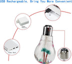 Air Humidifier, Mini USB Bulb Diffuser, with 7 Color LED Light