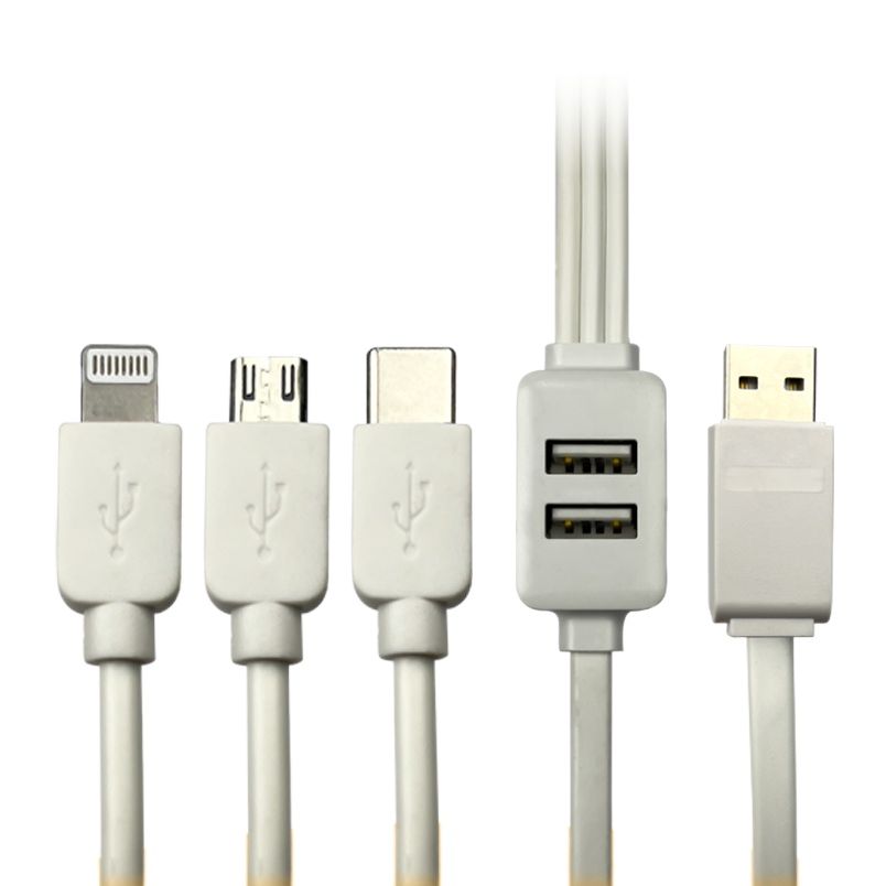 Vizo 5-in-1 Fast Data Cable, Multi Connector Fast Charging and Data Transfer Cable