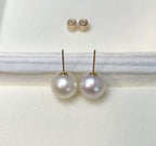 PJT-177 Simple Pearl Earrings – 10mm Classic Elegant Studs
