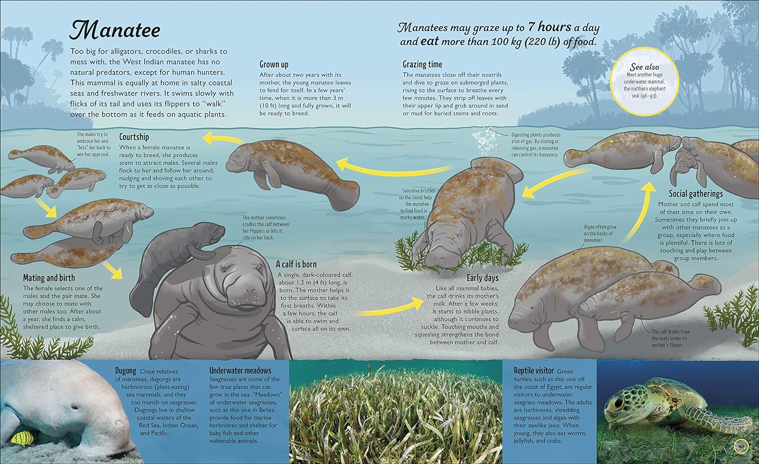 Water Cycles: The source of life from start to finish