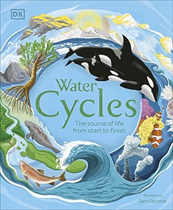 Water Cycles: The source of life from start to finish