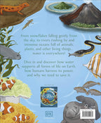 Water Cycles: The source of life from start to finish