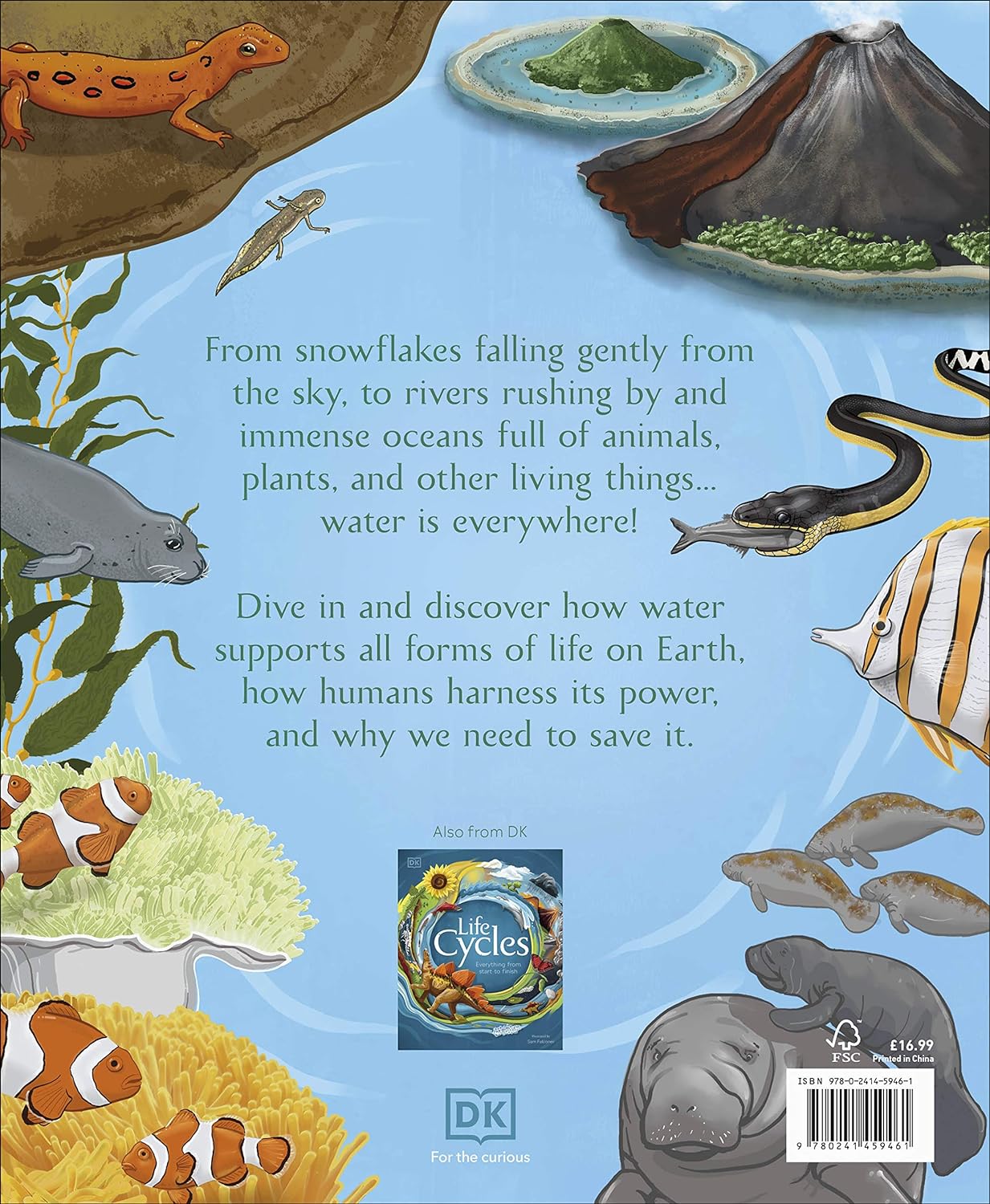 Water Cycles: The source of life from start to finish