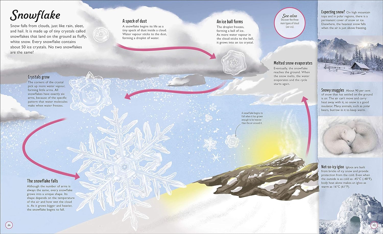 Water Cycles: The source of life from start to finish