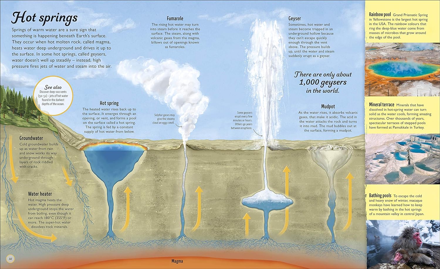 Water Cycles: The source of life from start to finish