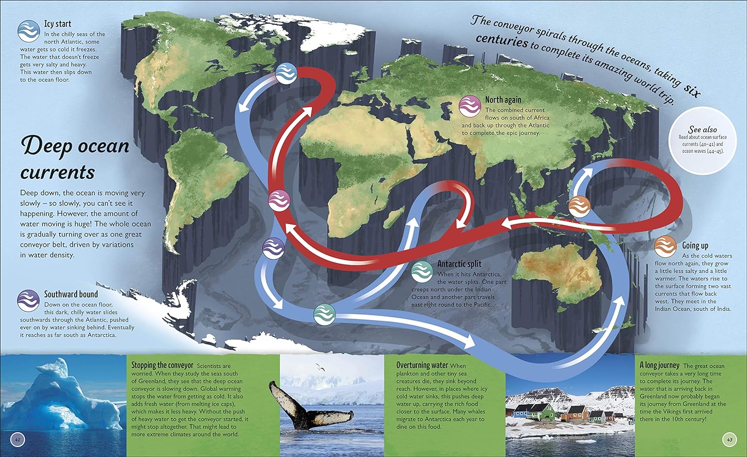 Water Cycles: The source of life from start to finish