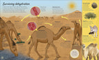 Water Cycles: The source of life from start to finish