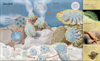 Water Cycles: The source of life from start to finish