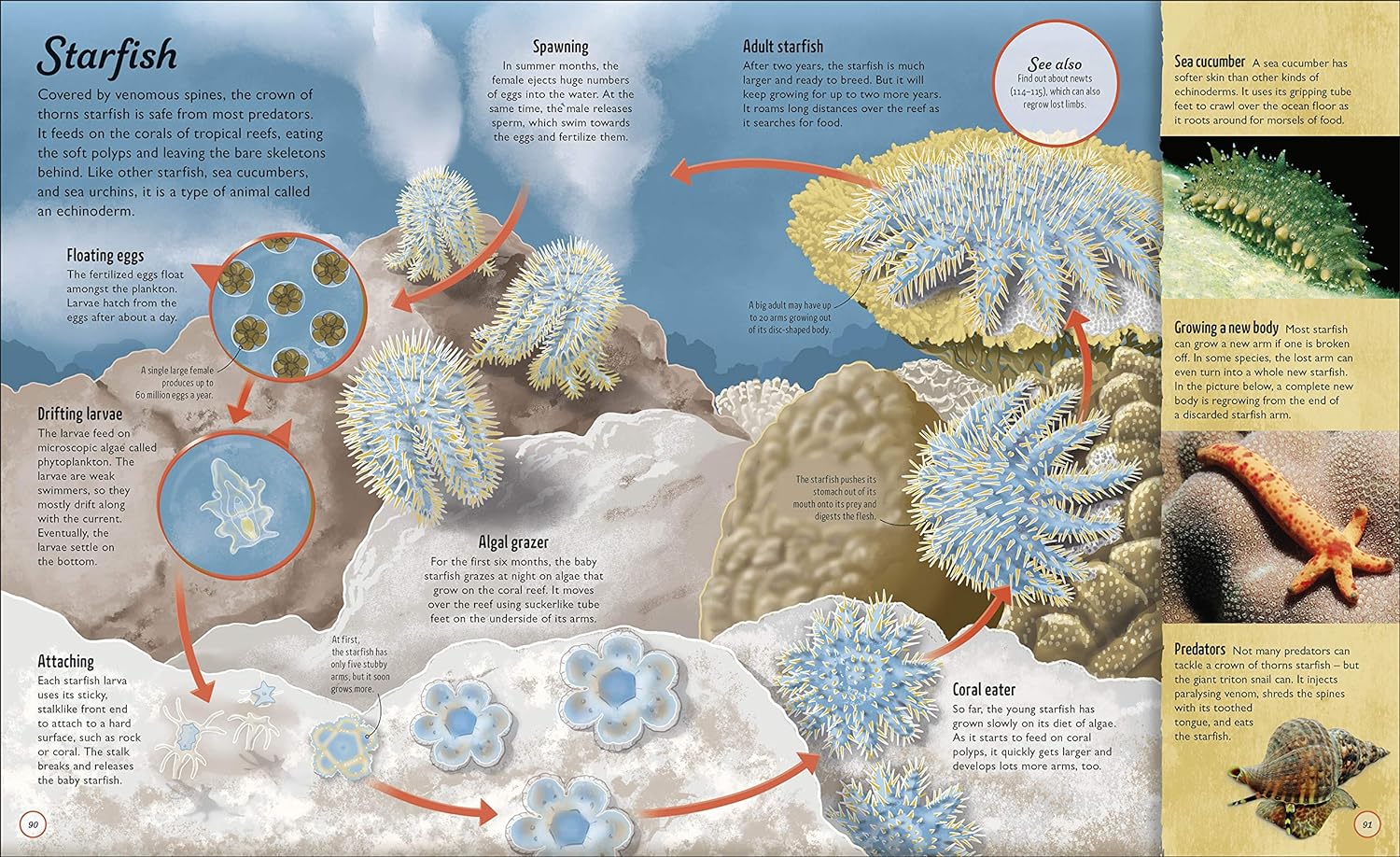 Water Cycles: The source of life from start to finish