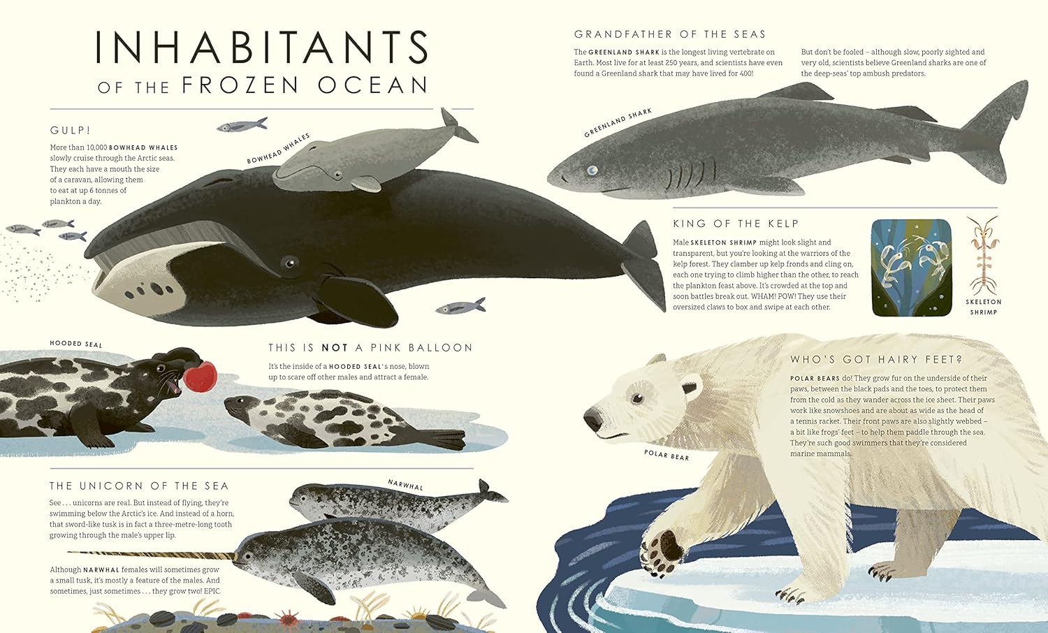 Frozen Planet II (BBC Earth)