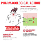 Aichun Beauty Fast Acting Muscle And Joint Pain Relief Spray
