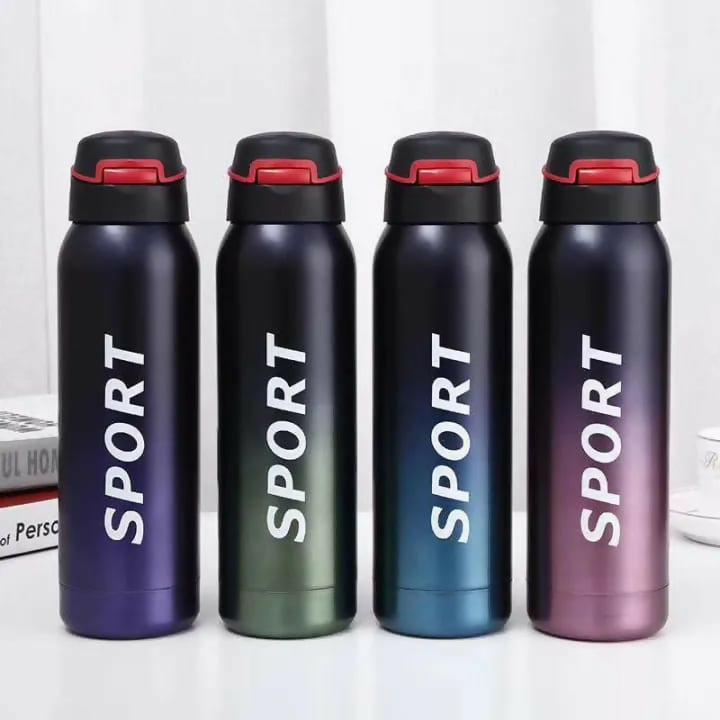Stainless Steel Double Wall Vacuum Flask | 500 ml Sports Water Bottle | With Straw | Insulated