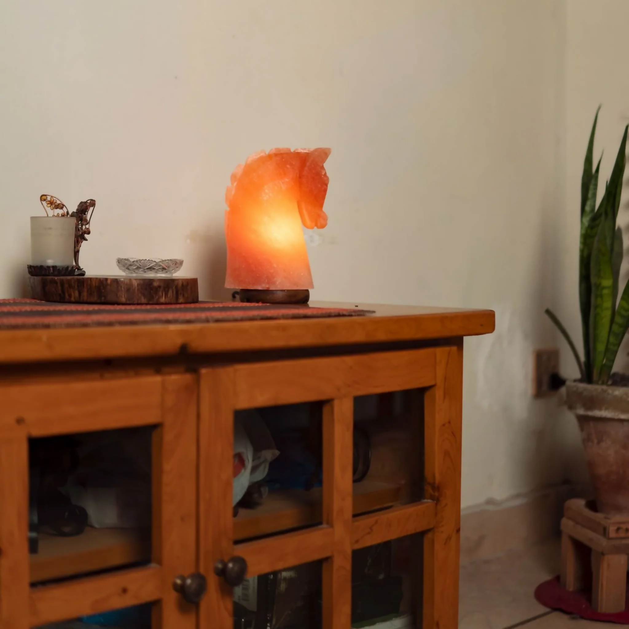 Himalayan Salt Mustang Lamp