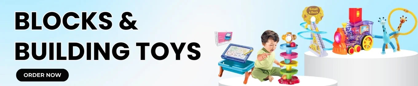 Blocks & Building Toys