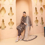 Semi-Stitched Net Dress