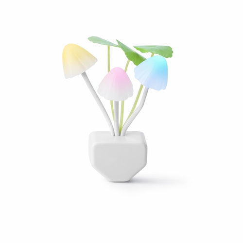 Colorful Decorative LED Light, for Room and Home Decoration