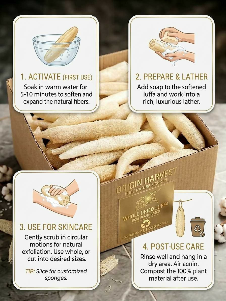100% Plant-Based Natural Loofah Sponge Set – Biodegradable Body Exfoliator & Bath Accessories by Origin Harvest