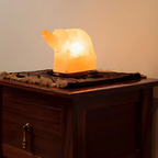 Himalayan Salt Dumbo Lamp