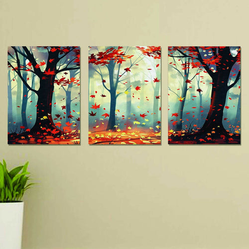 Wooden Frames for Wall