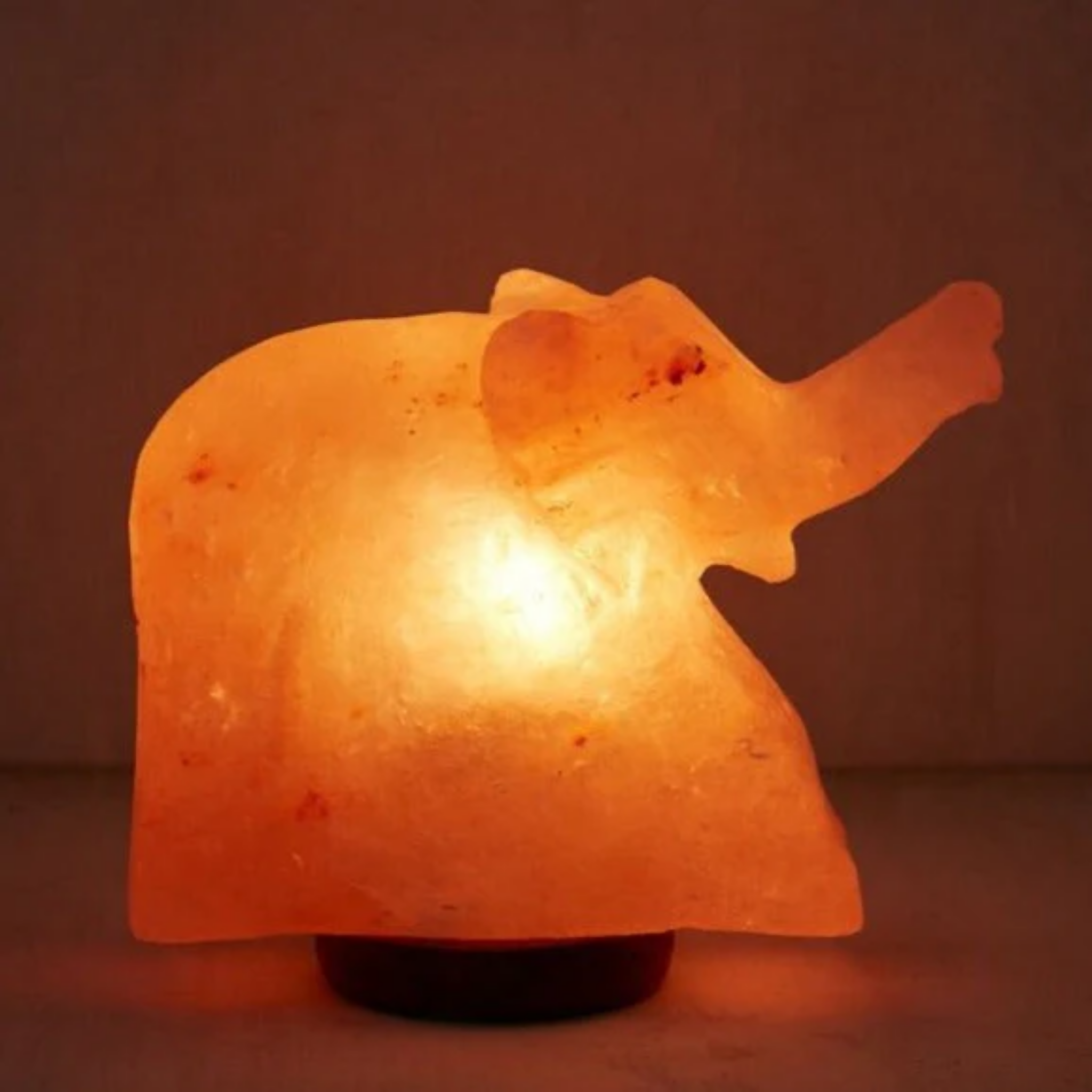 The Mighty Elephant Himalayan Salt Lamp