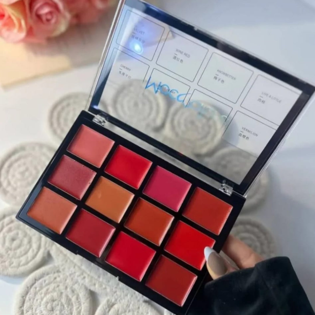 Lip Palette Mocallure Matte Glossy Lip Colors Moisturizing Kit