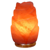 Eternal Rose Lamp