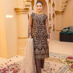 Semi-Stitched Net Dress