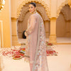 Semi-Stitched Net Embroidered Dress
