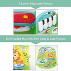 Piano Mat Play Gym, 2-in-1 Musical and Play Experience, for Newborns