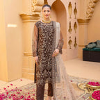 Semi-Stitched Net Dress