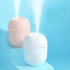 Air Humidifier, Mini USB Cool Mist Air Moisturizer for Bedroom and Desk