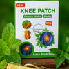 Herbal Knee Pain Relief Patch, Natural Heat Therapy for Joint & Muscle Comfort